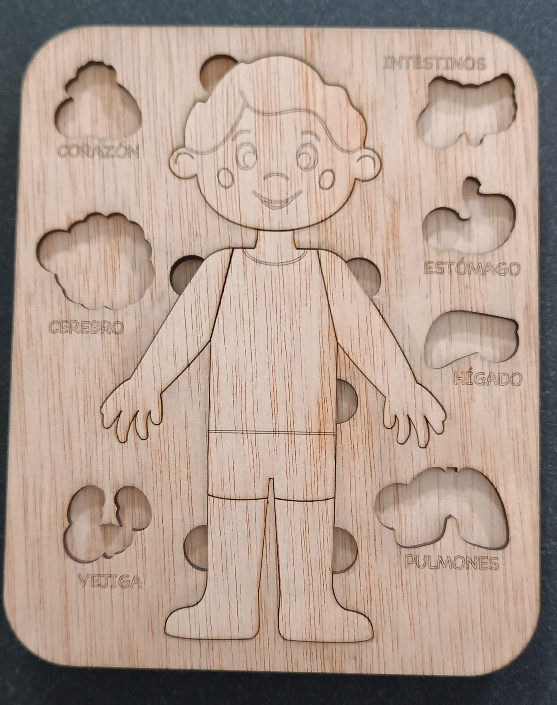 Modelo cuerpo humano madera educativo hecho a mano La Palma Islas Canarias Canary Soulmade Crafts