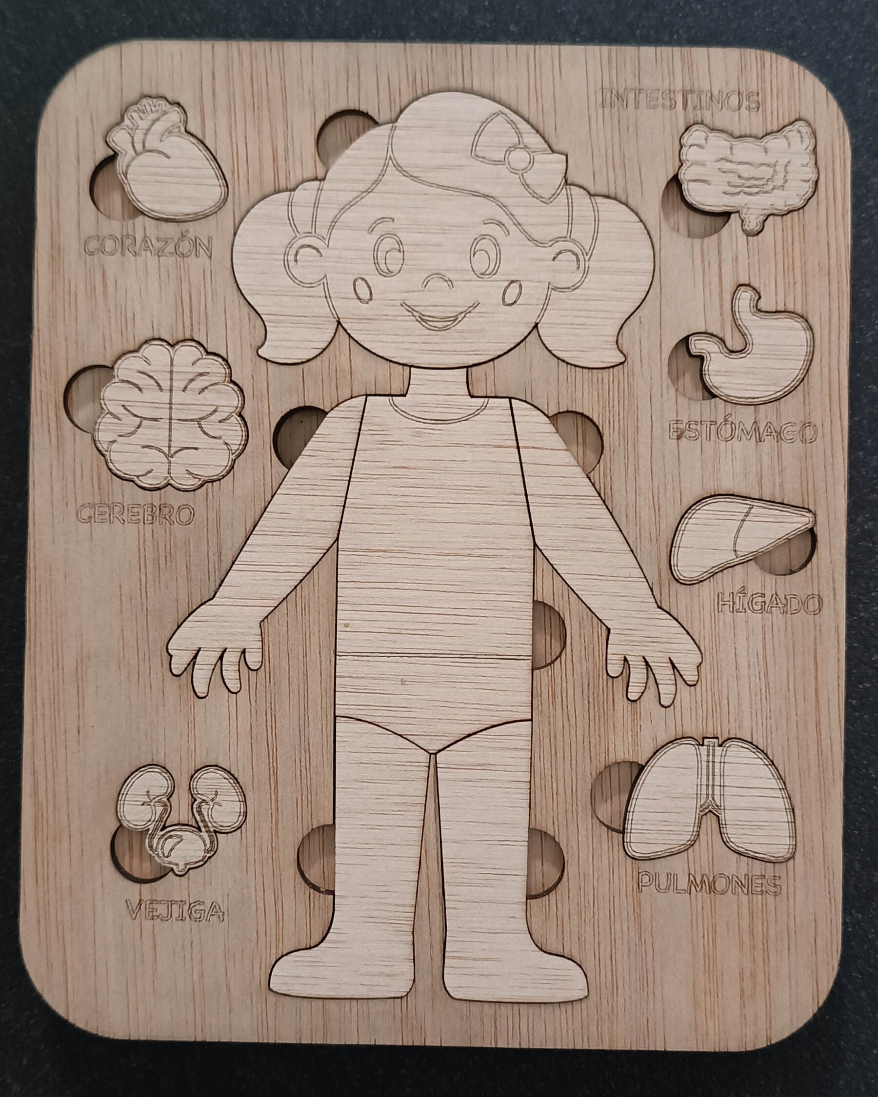 Modelo anatómico cuerpo humano madera contrachapada lasercut educativo artesanal La Palma