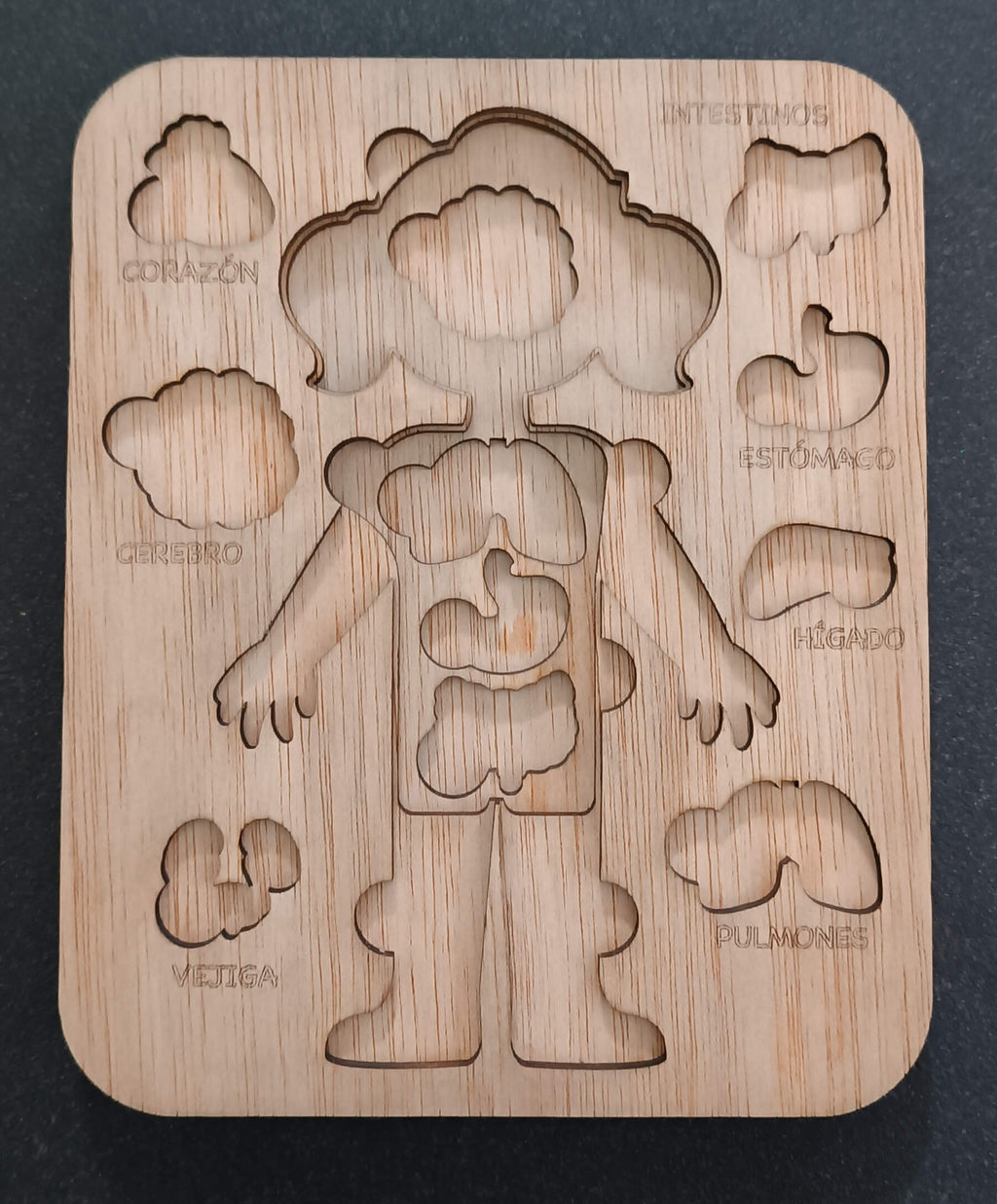 Detalle modelo cuerpo humano madera educativo hecho a mano Canary Soulmade Crafts Canarias